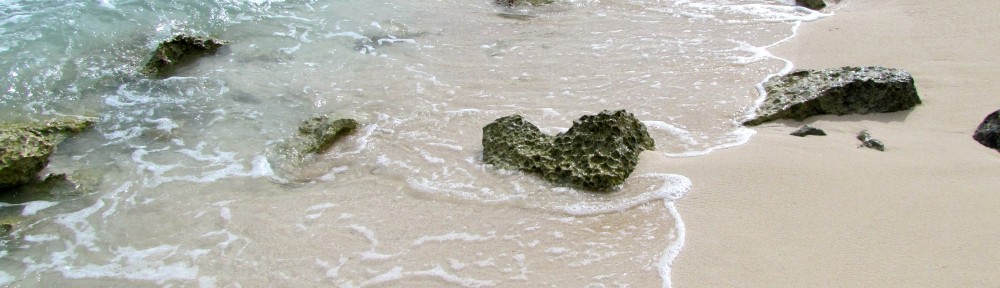 Global Reef Roamers LLC