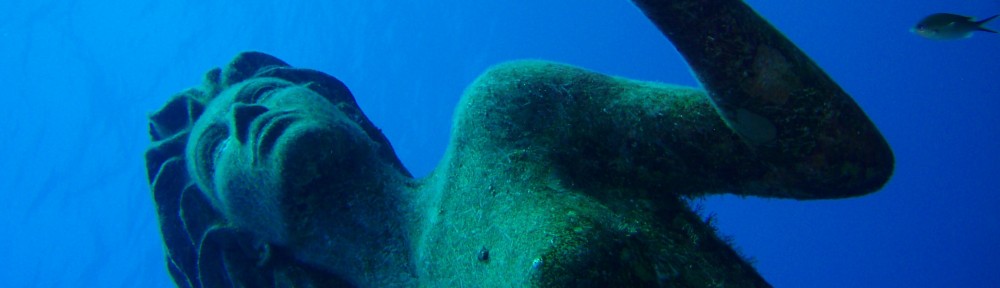 Global Reef Roamers LLC